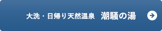 大洗・日帰り天然温泉　潮騒の湯
